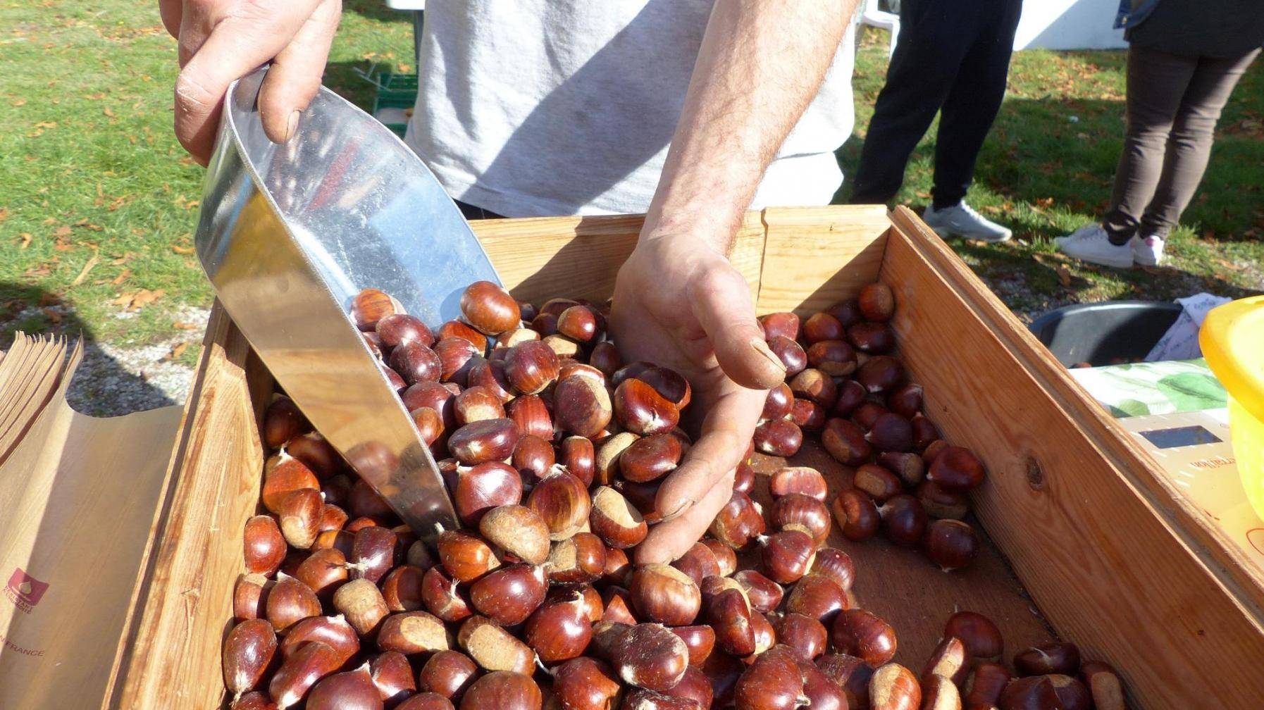 Fete De La Chataigne Revest Du Bion En direct | Revest-du-Bion : marché d'automne | La Provence