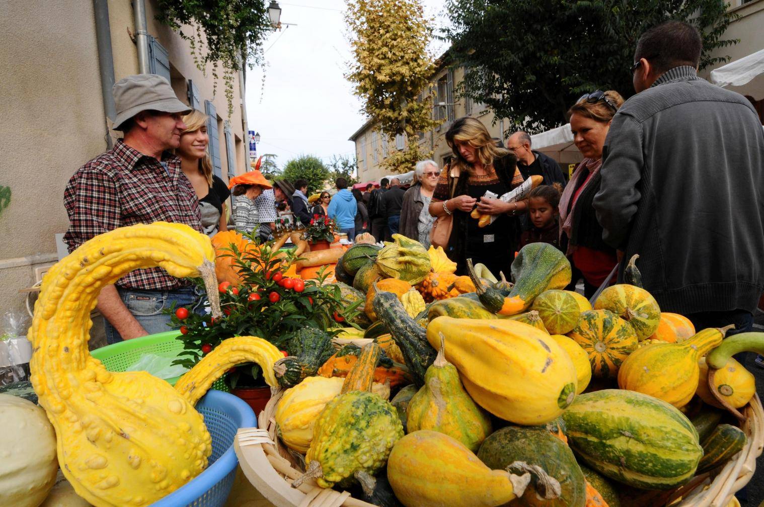 En direct | Courges toujours, dimanche, cours Saint-Étienne à Rognes | La  Provence