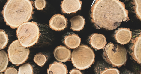 Aide pour le chauffage au bois : la plateforme pour effectuer les demandes ouvre ce mardi