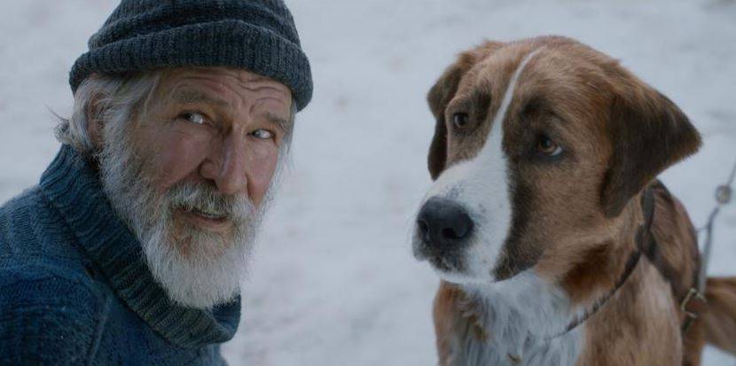 L Appel De La Foret Tf1 En direct | Audiences télé : TF1 largement en tête avec "L'appel de la forêt"  | La Provence