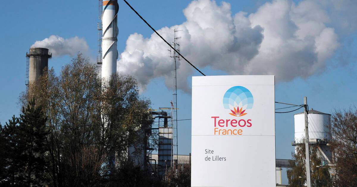 Le sucrier Tereos va fermer deux sites industriels en France, 149 emplois menacés