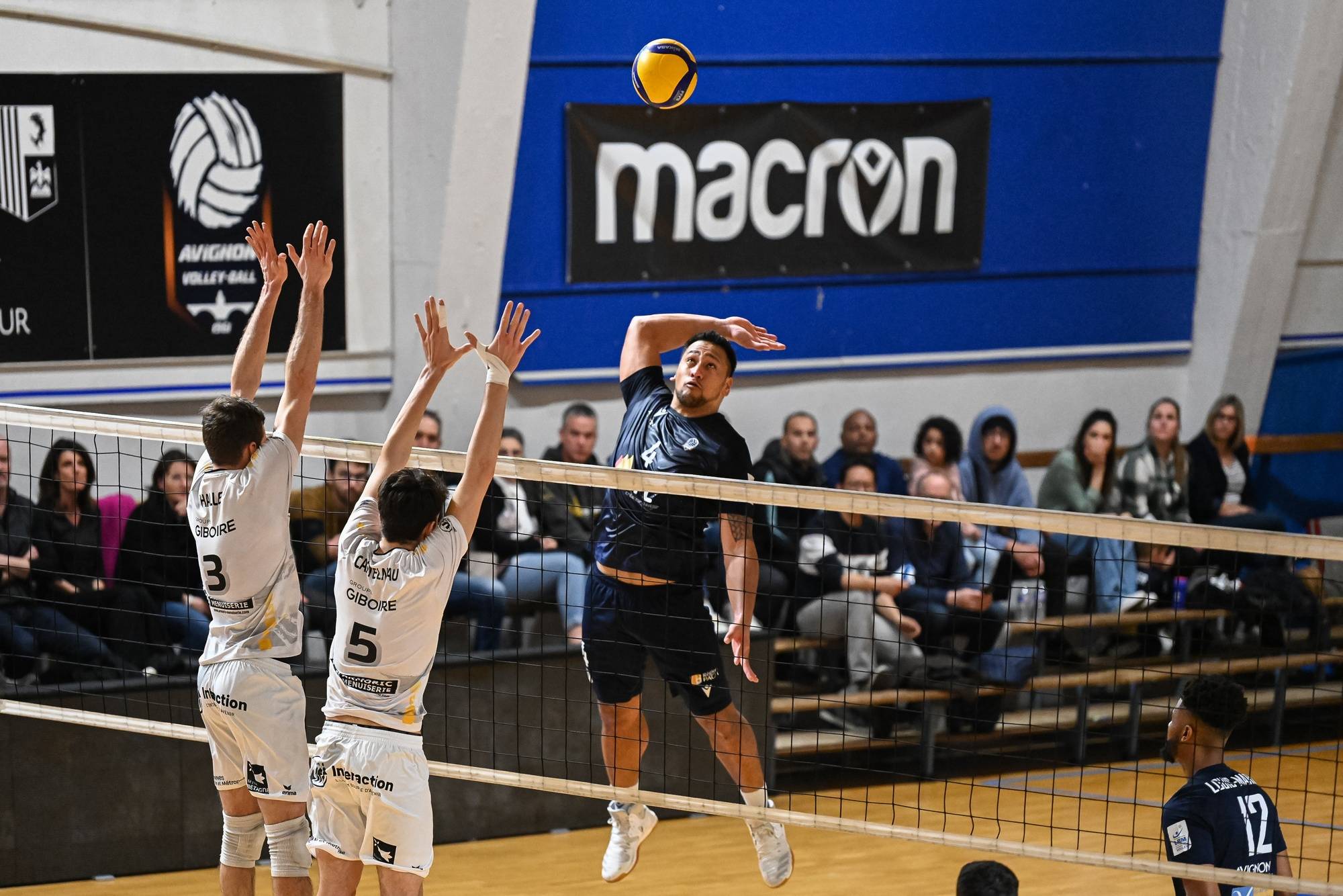 Volley-ball - Ligue B : Avignon bascule en mode phases finales