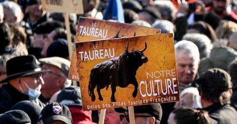 Des milliers de défenseurs des traditions taurines ont manifesté à Montpellier