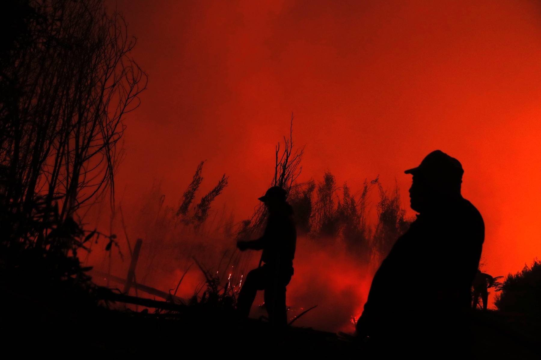 Incendies au Chili: arrivée de l'aide internationale