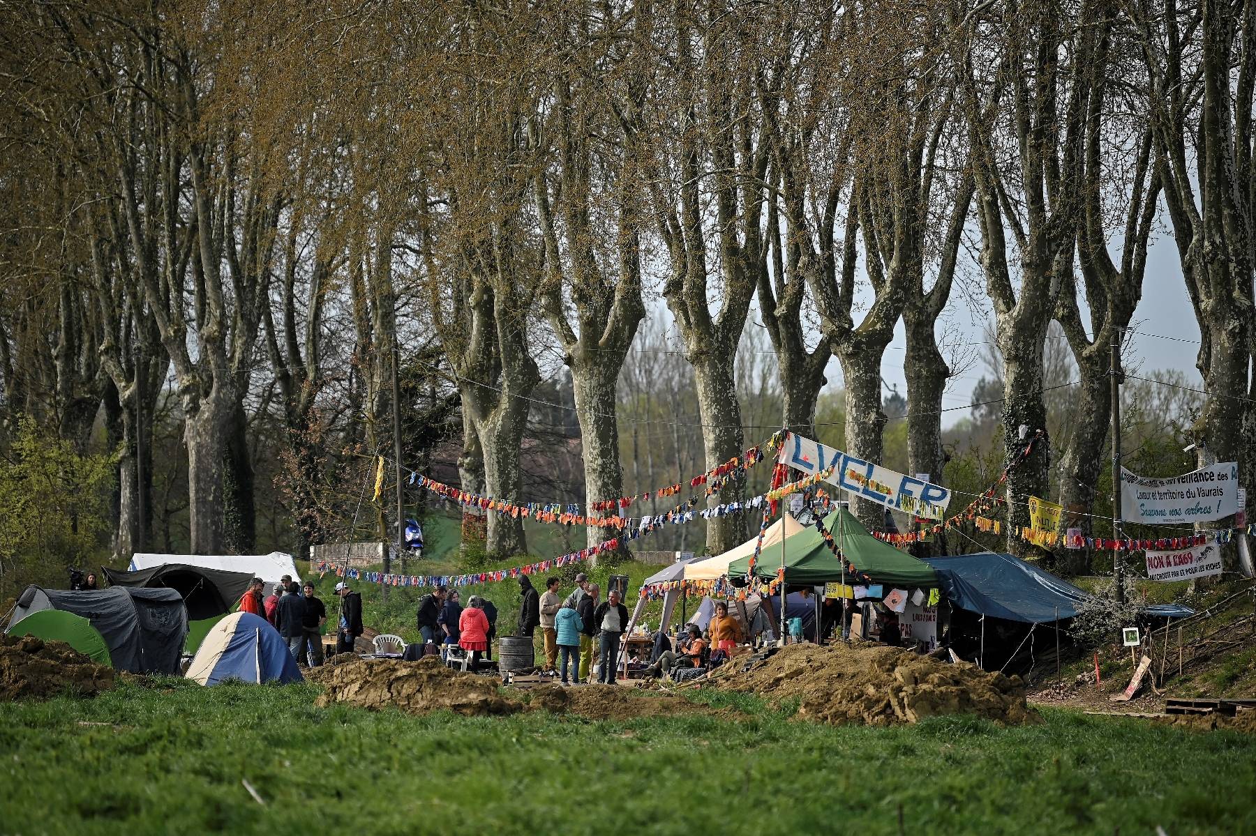 Autoroute Toulouse-Castres: des opposants sur des arbres pour arrêter le chantier