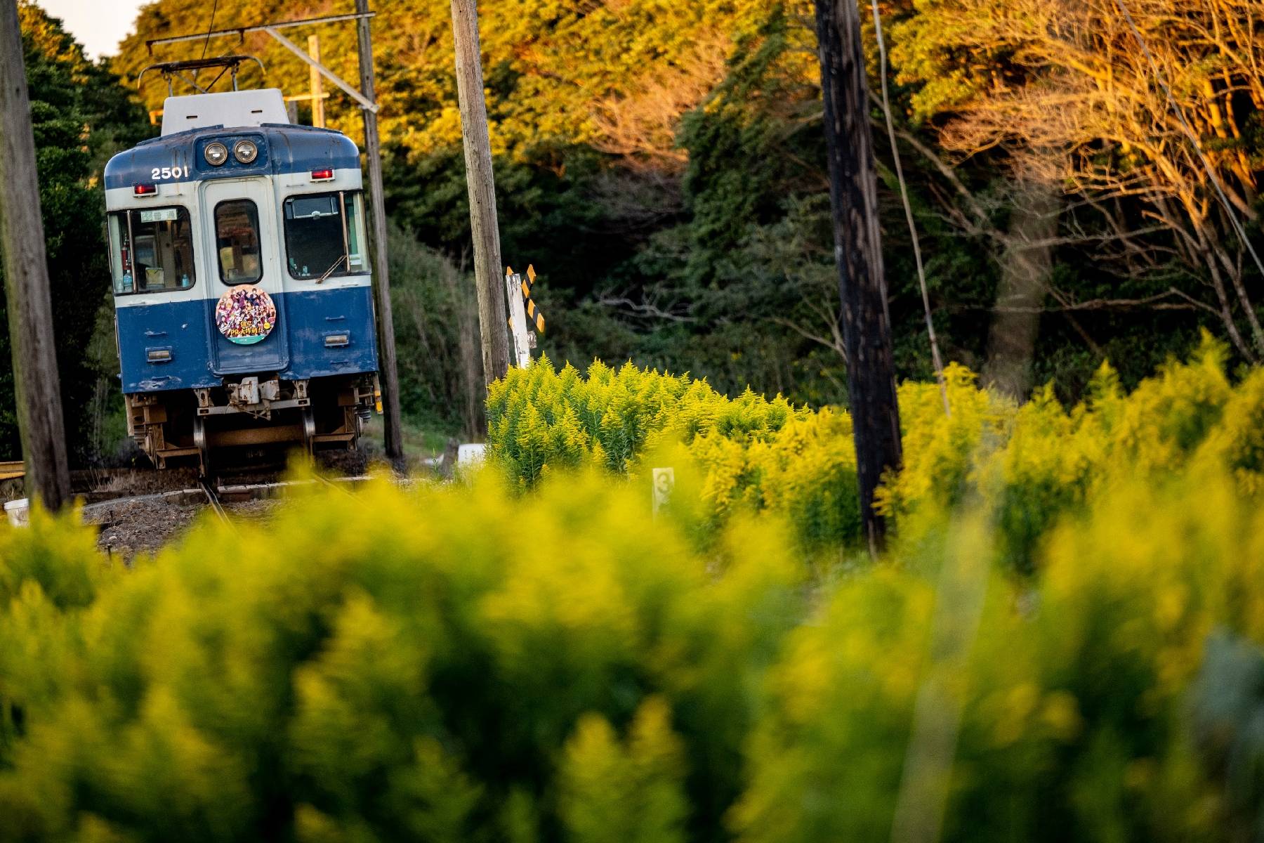 Japon: des lignes ferroviaires en mode survie face au dépeuplement des campagnes