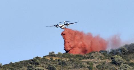 Pyrénées-Orientales: près de 700 ha de végétation parcourus par un incendie