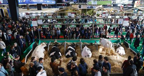 Exigences climatiques et plans d'aide, l'édition 2023 du Salon de l'agriculture