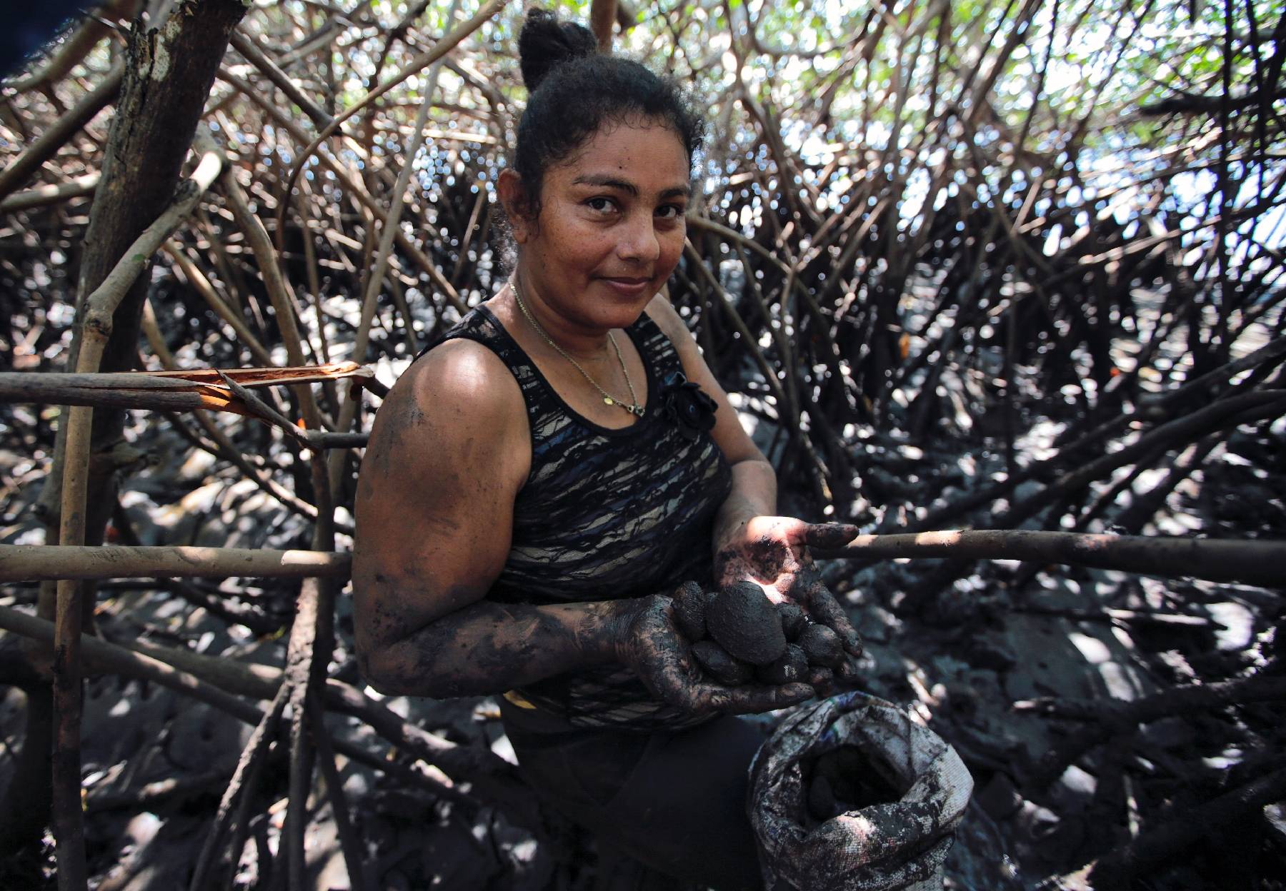 Au Nicaragua, des ramasseuses de coquillages, protectrices de la mangrove