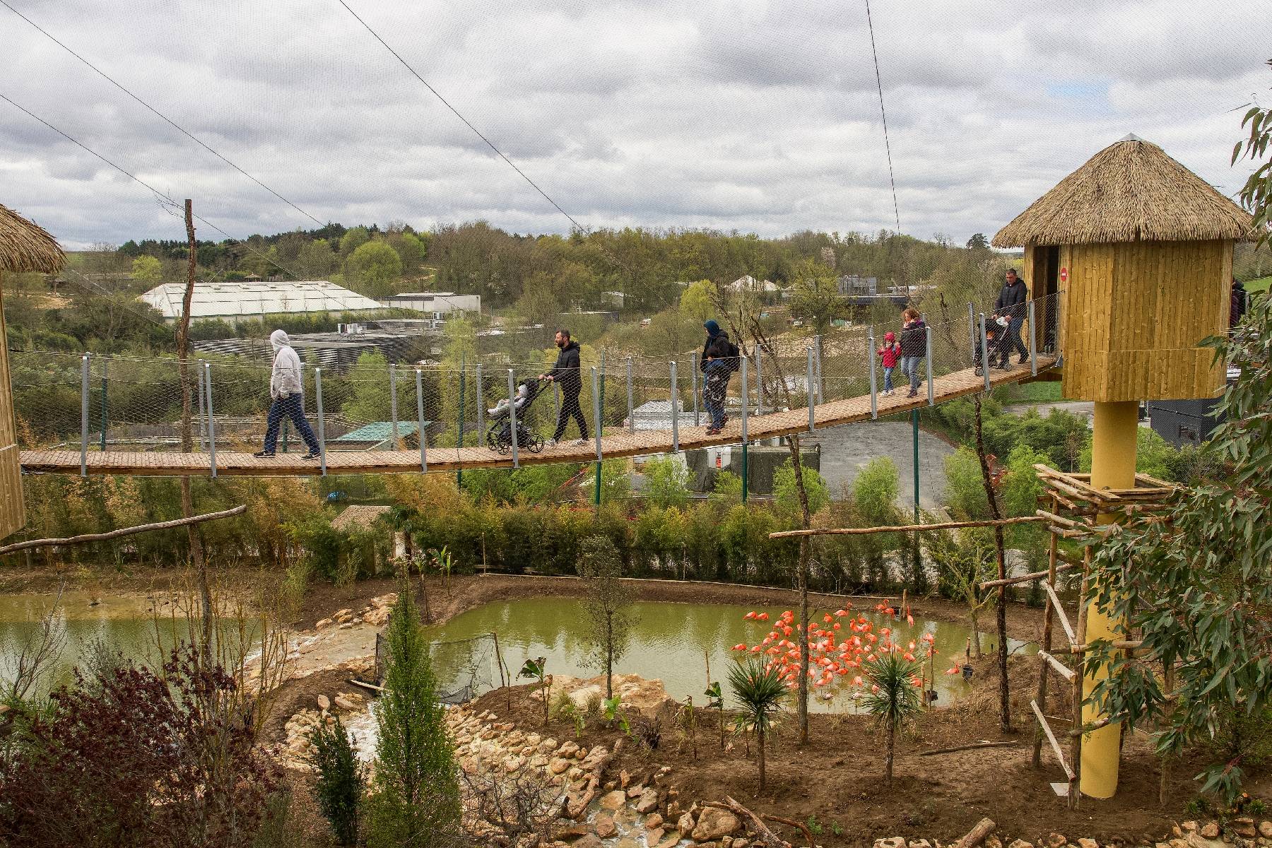 Le zoo de Beauval inaugure une volière présentée comme la plus grande d'Europe