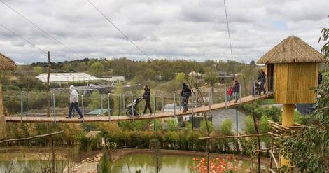 Le zoo de Beauval inaugure une volière présentée comme la plus grande d'Europe