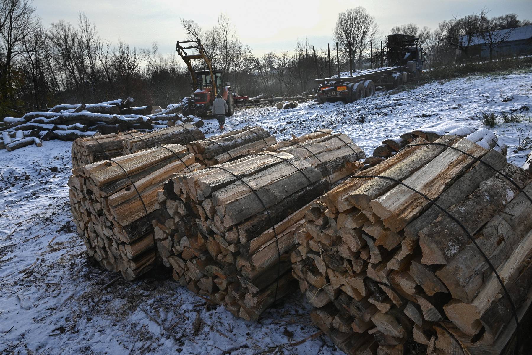 En Alsace, la demande de bois de chauffage flambe