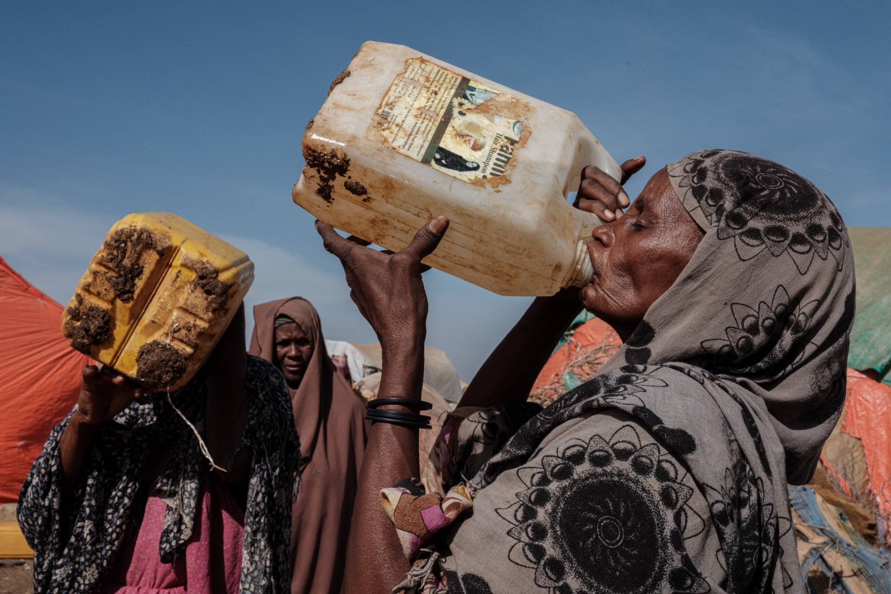 La sécheresse en Somalie pourrait provoquer 135 morts par jour, selon une étude