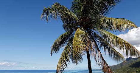 Le tourisme en Polynésie française retrouve ses niveaux d'avant-Covid