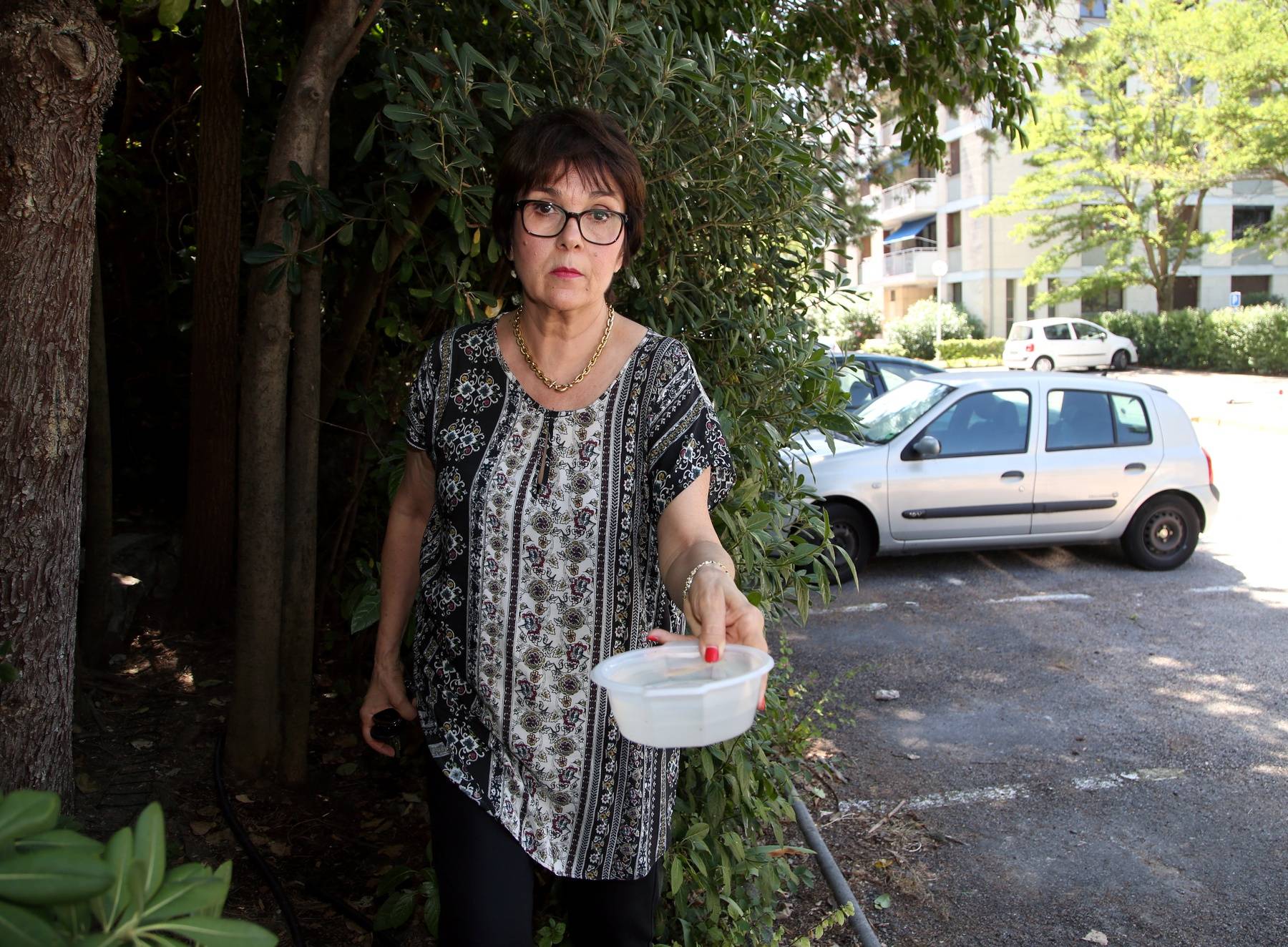 Actualites Marseille Un Serial Killer De Chats Noirs Sevit Il Dans Cette Residence La Provence