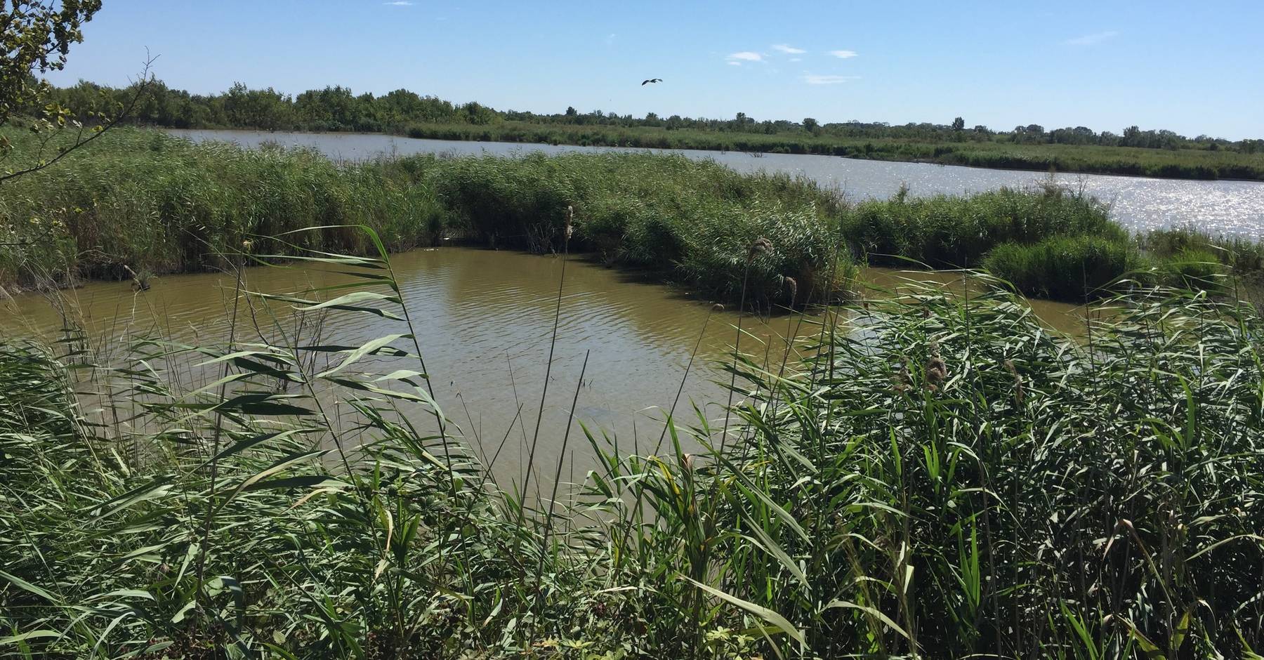 Réserve Naturelle Nationale Des Marais Du Vigueirat Avis En direct | Un bol d'air aux Marais du Vigueirat, ça vous tente ? | La  Provence