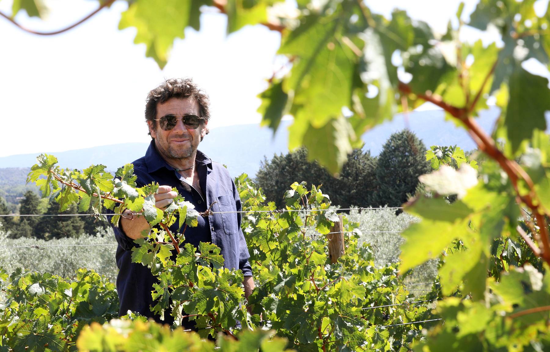 Domaine Leos Isle Sur La Sorgue Adresse Sorties - Loisirs | Construction d'un hôtel, sa vie en Provence... Patrick  Bruel, une passion nommée l'Isle-sur-la-Sorgue | La Provence