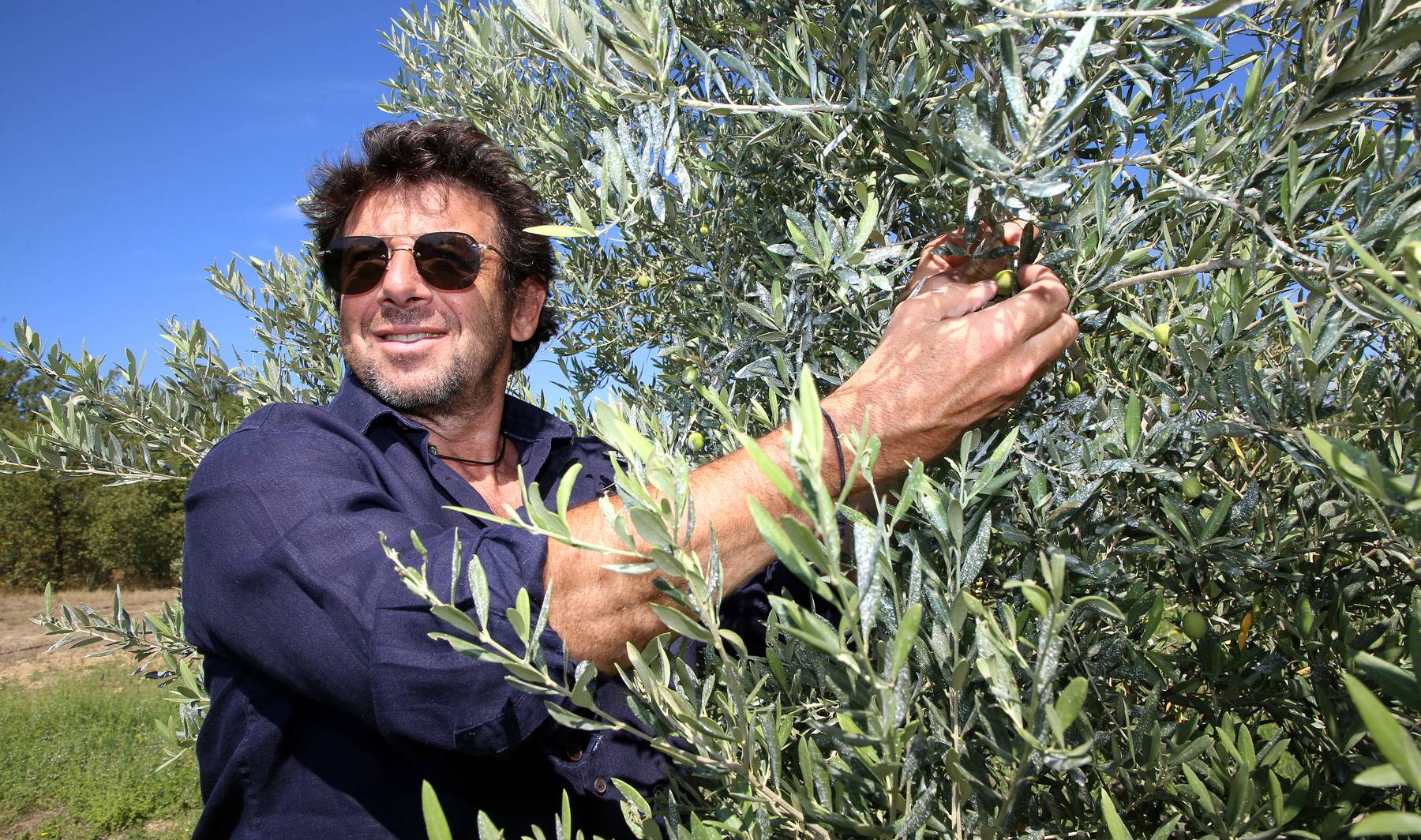 Domaine Leos Isle Sur La Sorgue Adresse Sorties - Loisirs | Construction d'un hôtel, sa vie en Provence... Patrick  Bruel, une passion nommée l'Isle-sur-la-Sorgue | La Provence