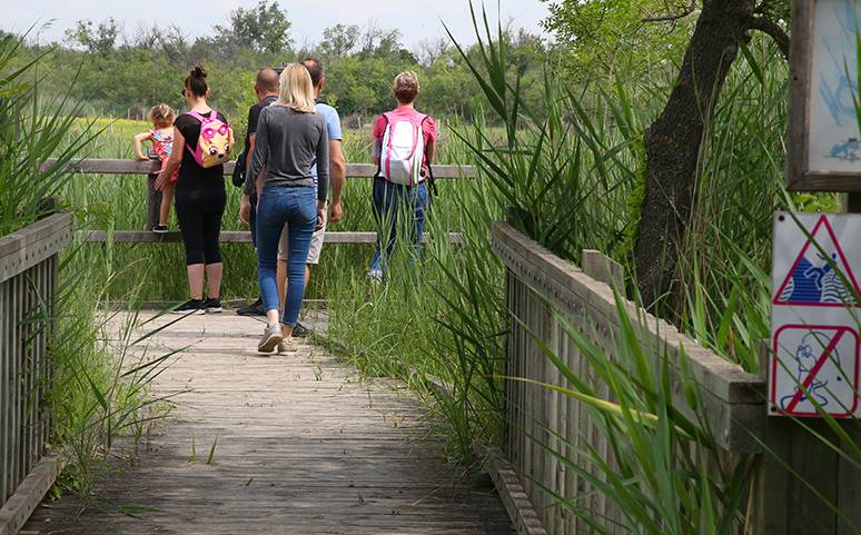Réserve Naturelle Nationale Des Marais Du Vigueirat Avis Écoplanète | Depuis un an, l'horizon des marais du Vigueirat est dégagé |  La Provence