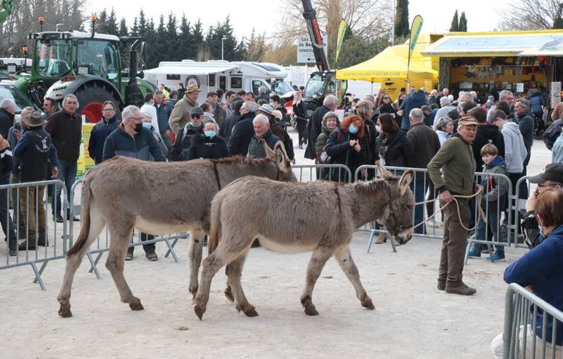 Avis De Deces Saint Martin De Crau Saint-Martin-de-Crau : La Provence