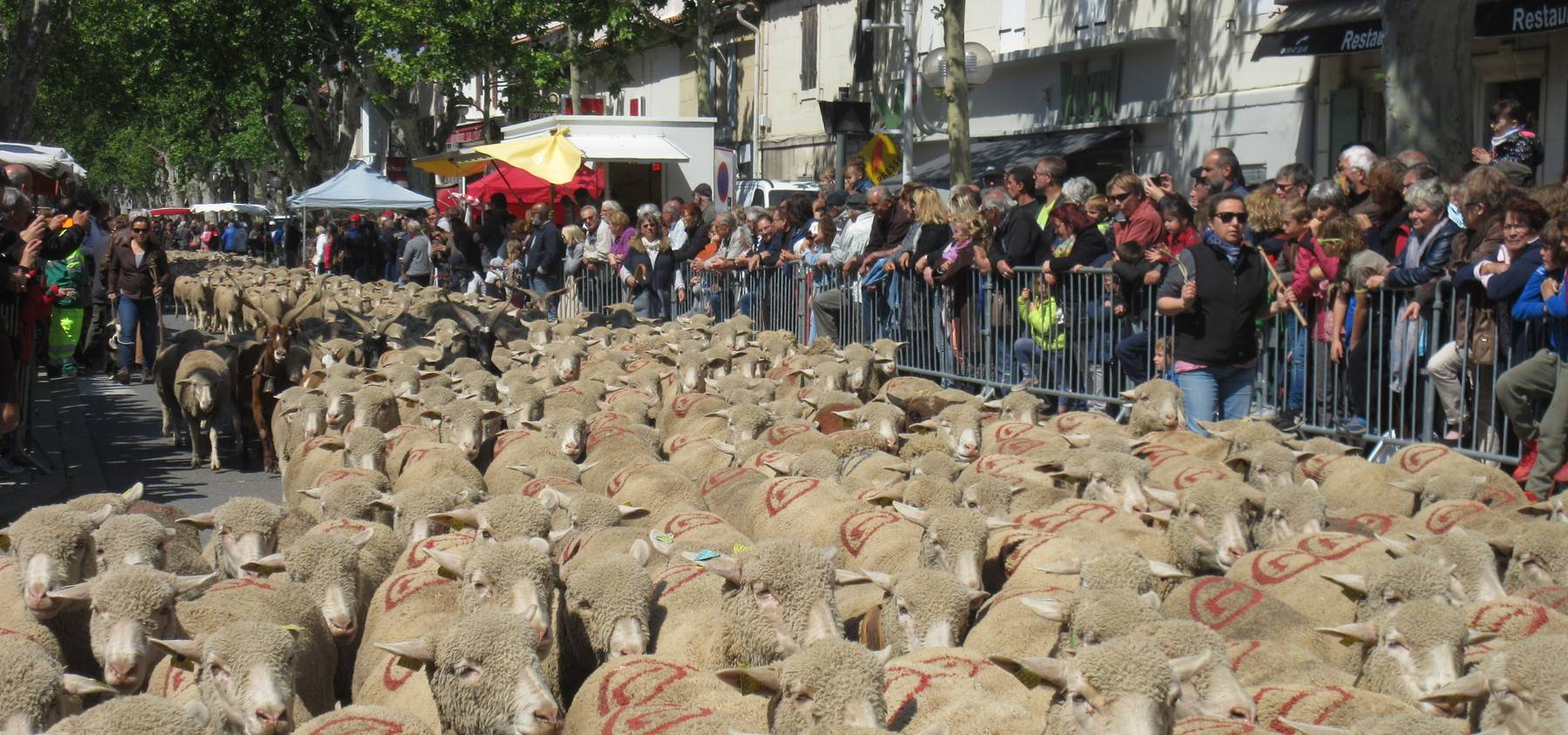 Avis De Deces Saint Martin De Crau Saint-Martin-de-Crau : La Provence