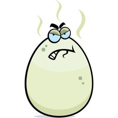 Odeur Oeuf Pourri Maison Ventana Blog