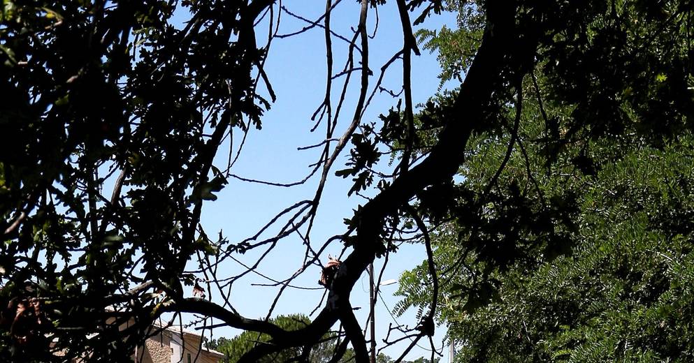 En direct Le canal Crillon, c'est toute une histoire La Provence